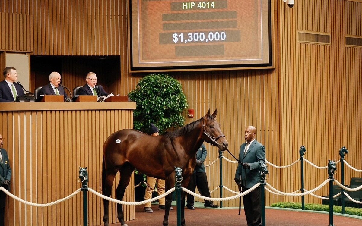$1.3 Million Bishops Bay KEE Nov HRA Sale - credit: Keeneland Sales / Coady Media
