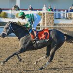 Grayson's Girl - Safely Kept Stakes - JEFFREY SNYDER / The Maryland Jockey Club
