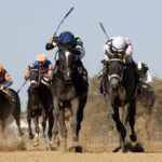 Aqueduct action - Barbara D. Livingston - Daily Racing Form