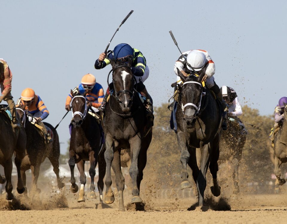 Aqueduct action - Barbara D. Livingston - Daily Racing Form