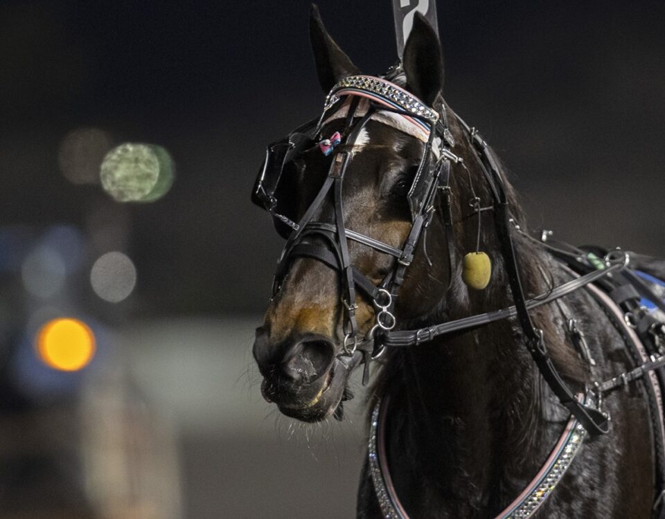 Harness / Meadowlands - Barbara D. Livingston - Daily Racing Form