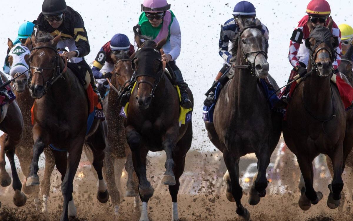 BC Distaff scenic - Barbara D. Livingston - Daily Racing Form