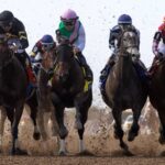 BC Distaff scenic - Barbara D. Livingston - Daily Racing Form