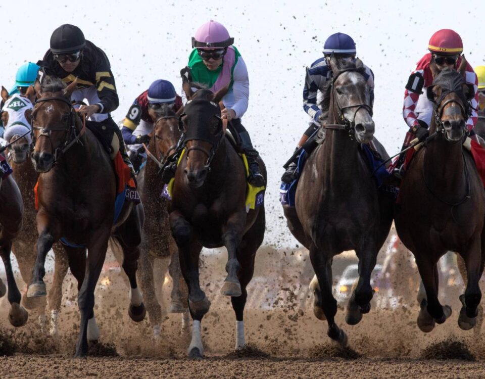 BC Distaff scenic - Barbara D. Livingston - Daily Racing Form