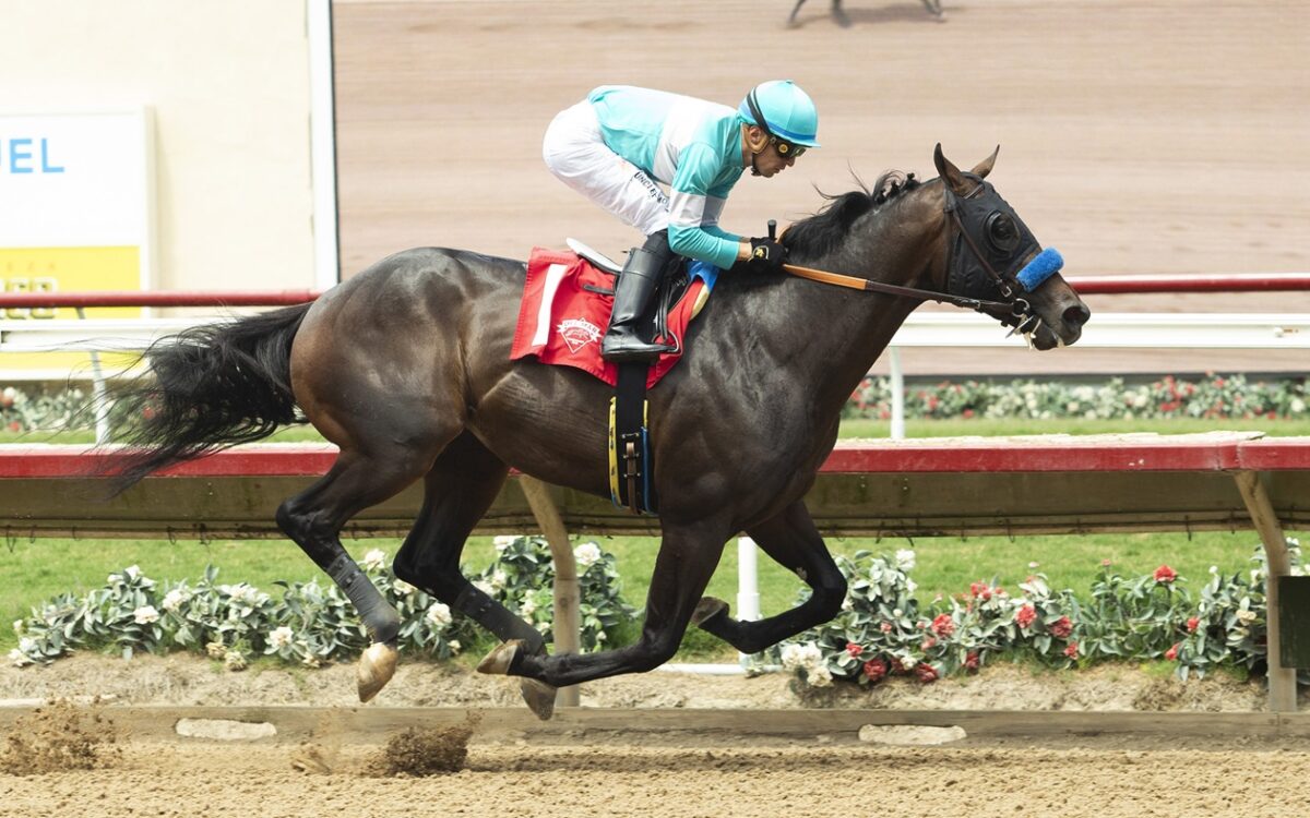 Balboa - Benoit Photo