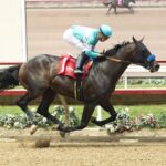 Balboa - Benoit Photo