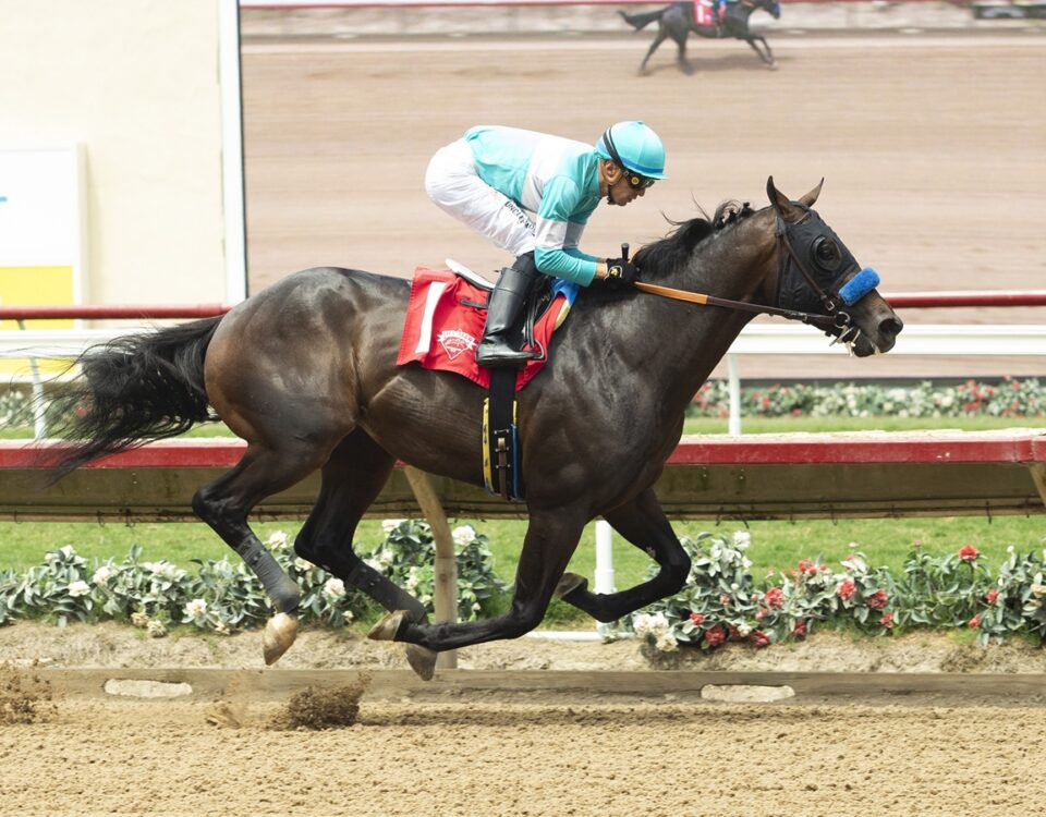 Balboa - Benoit Photo