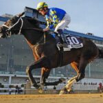 Balboa - James F. Lewis III Stakes - Jeffrey Snyder/TMJC