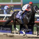 Bentornato - BC Sprint - Barbara D. Livingston - Daily Racing Form