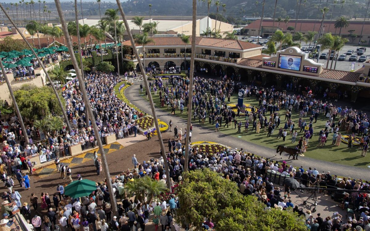 Breeders' Cup scenic Paddock Del Mar- Justin Lane - Daily Racing Form