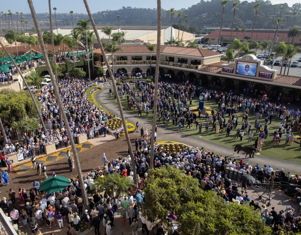 Breeders' Cup scenic Paddock Del Mar- Justin Lane - Daily Racing Form