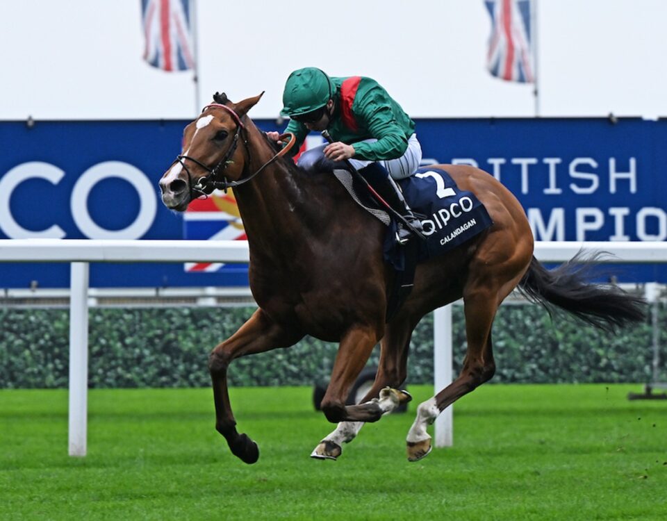 Calandagan -Photo © Francesca Altoft focusonracing.com