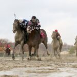 Call Me Fast - Turkey Trot Stakes - Ryan Denver - EQUI/PHOTO