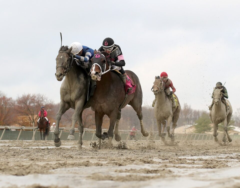 Call Me Fast - Turkey Trot Stakes - Ryan Denver - EQUI/PHOTO