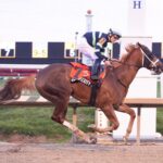 Complexity Jane - Jim McCue / Maryland Jockey Club - Laurel Park