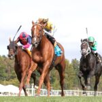 Laurel Park - racing action - EQUI-PHOTO