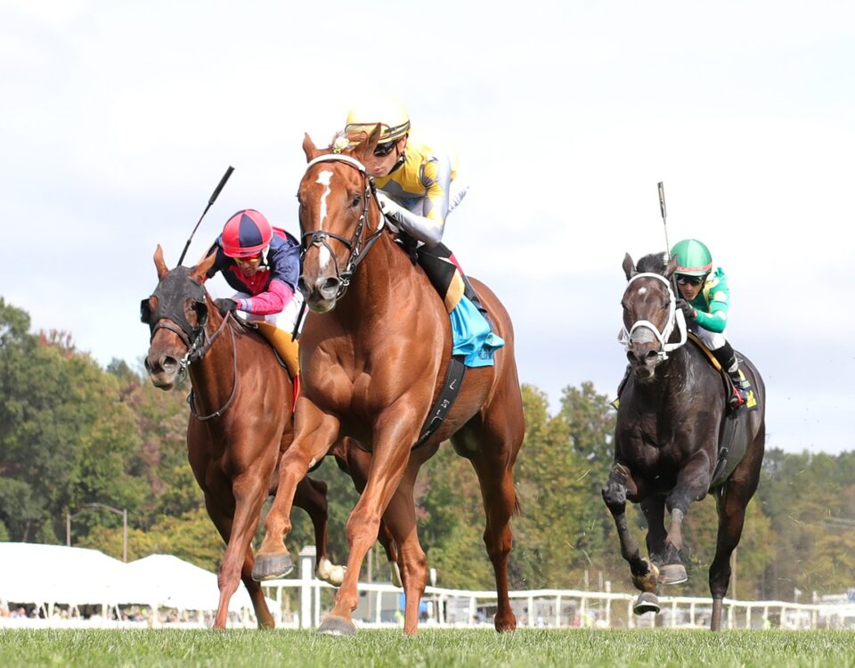 Laurel Park - racing action - EQUI-PHOTO