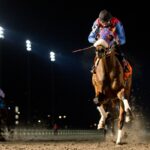 Fire and Wine - $250,000 Coronation Futurity - Woodbine / Michael Burns Photo