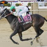 Doc´s Miracle - Smart Halo Stakes - Jeff Snyder TMJC