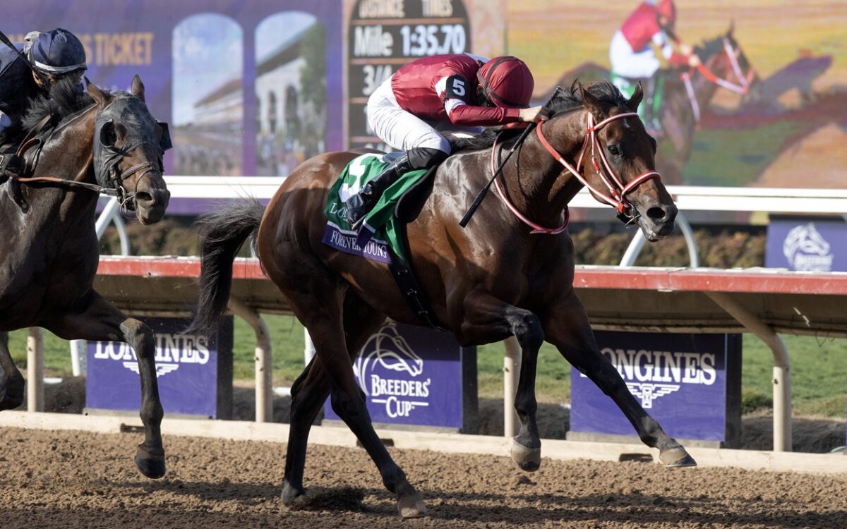 Forever Young - Barbara D. Livingston - Daily Racing Form