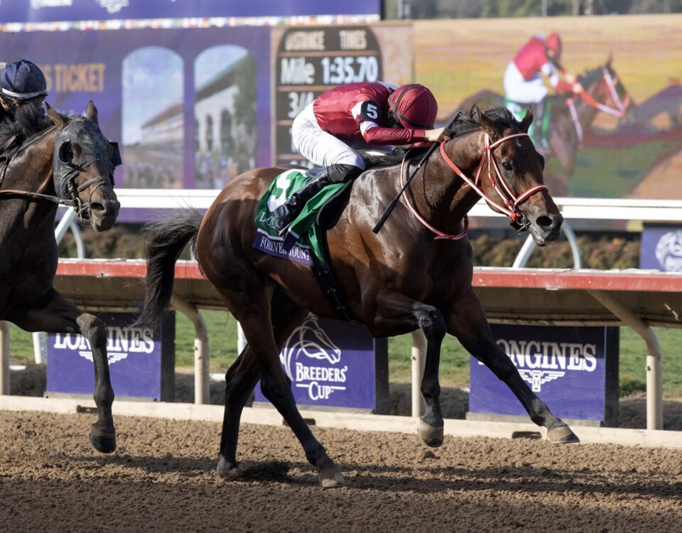 Forever Young - Barbara D. Livingston - Daily Racing Form