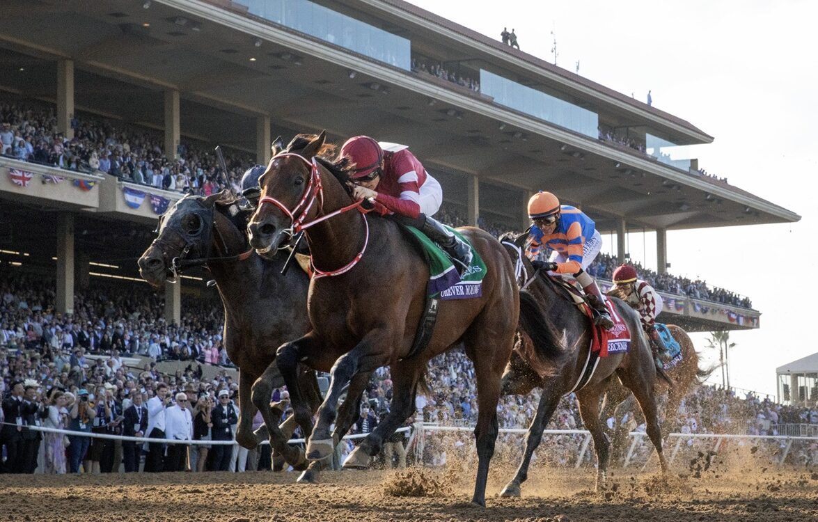 Forever Young - BC Classic - Debra A. Roma - Daily Racing Form