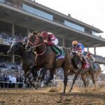 Forever Young - BC Classic - Debra A. Roma - Daily Racing Form