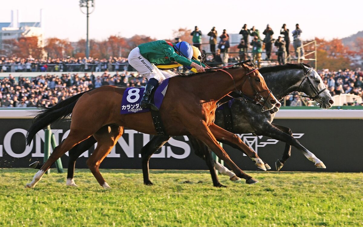 Calandagan - Japan Cup G1 - photo credit Japan Racing Association