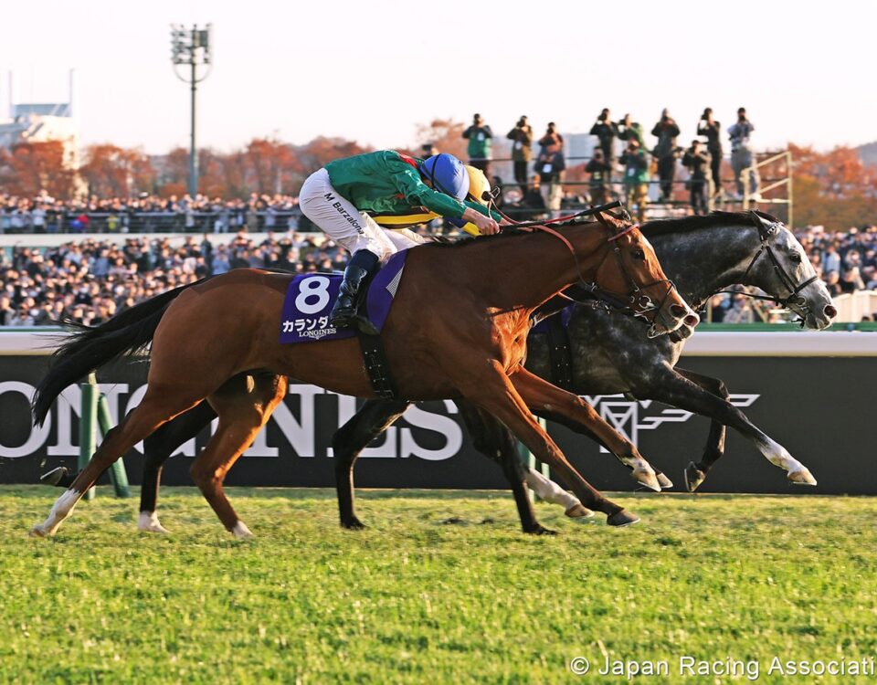 Calandagan - Japan Cup G1 - photo credit Japan Racing Association