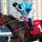 Romantic Warrior - Jockey Club Cup G2 - Foto credito: Hong Kong Jockey Club / Media