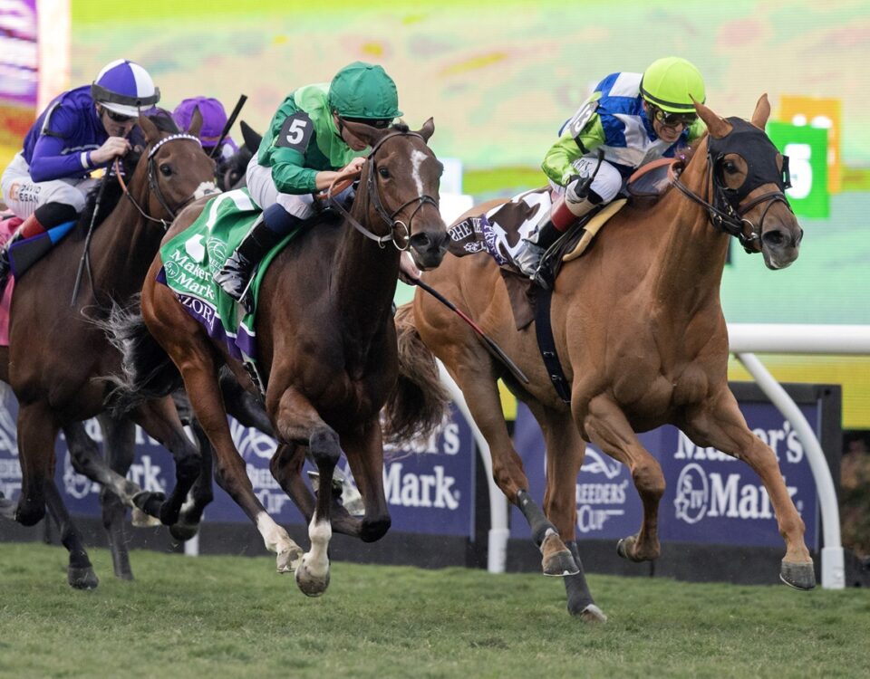 Gezora - BC Filly and Mare Turf - Barbara D. Livingston - Daily Racing Form