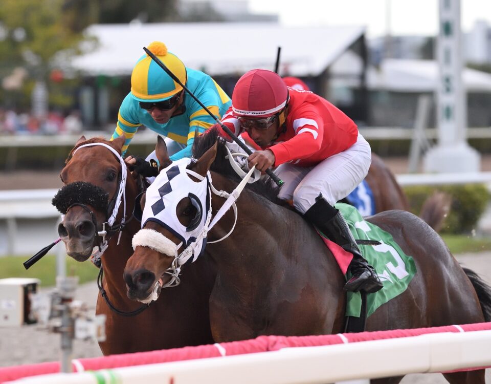 Glorious Boy - Pulpit Stakes - Ryan Thompson/Coglianese Photo