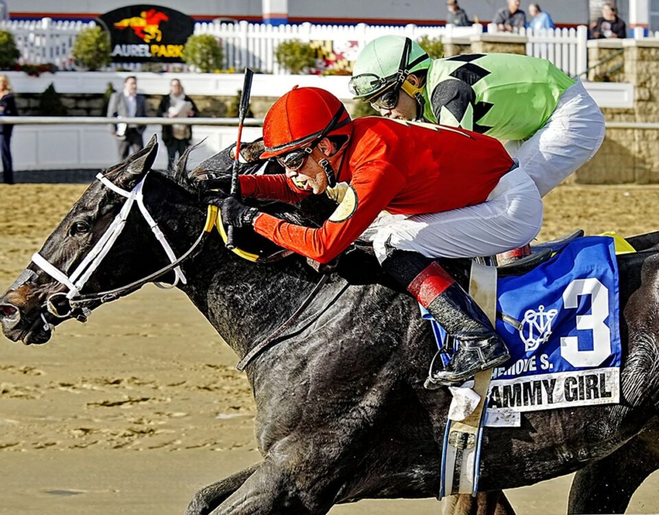 Grammy Girl - Willa On the Move Stakes - Jeffrey Snyder/The Maryland Jockey Club