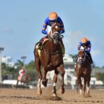 Hammond - Juvenile Sprint Stakes - Ryan Thompson/