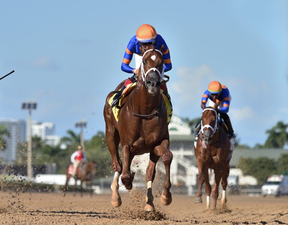 Hammond - Juvenile Sprint Stakes - Ryan Thompson/