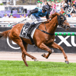 HALF YOURS winning the Lexus Melbourne Cup at Flemington in Australia. Picture: Racing Photos / Sky Racing World