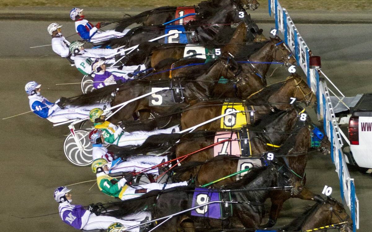 Meadowlands Harness - Barbara D. Livingston/Daily Racing Form