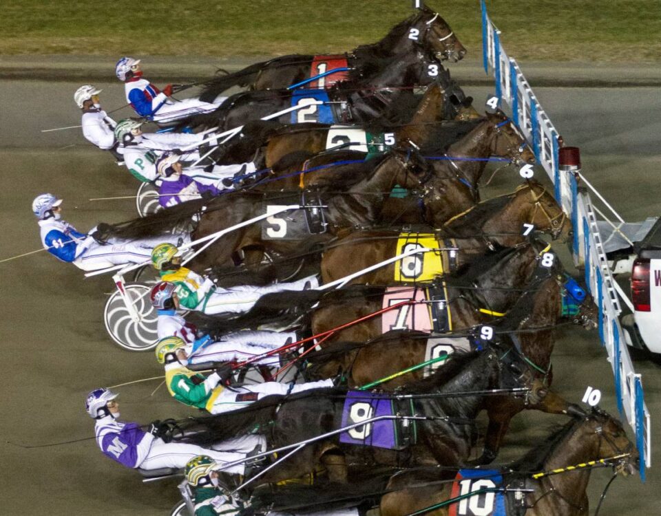 Meadowlands Harness - Barbara D. Livingston/Daily Racing Form