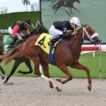 Mystical Bell - Ryan Thompson/Coglianese Photos