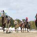 Onyx Ten - Maryland Million Distaff - Bill Denver-EQUI/PHOTO