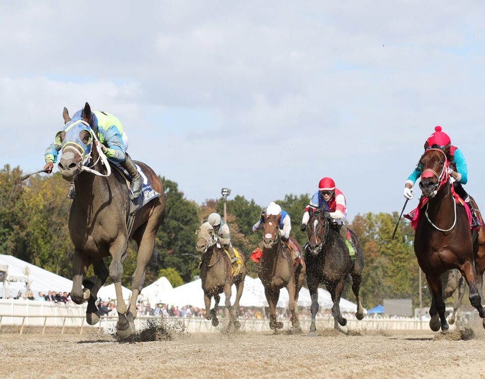 Onyx Ten - Maryland Million Distaff - Bill Denver-EQUI/PHOTO