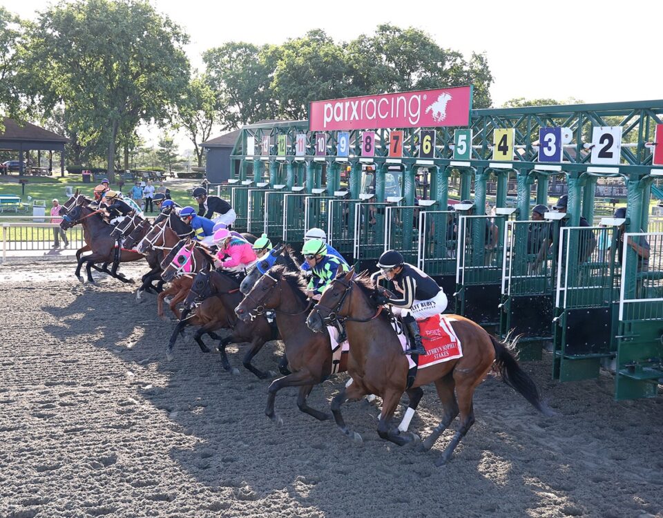 Parx Racing start - Bill Denver-EQUI/PHOTO