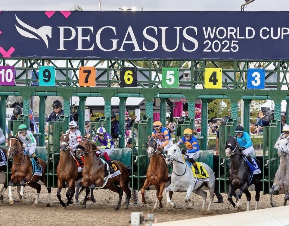 Pegasus World Cup Invitational - Debbie Roma - Daily Racing Form