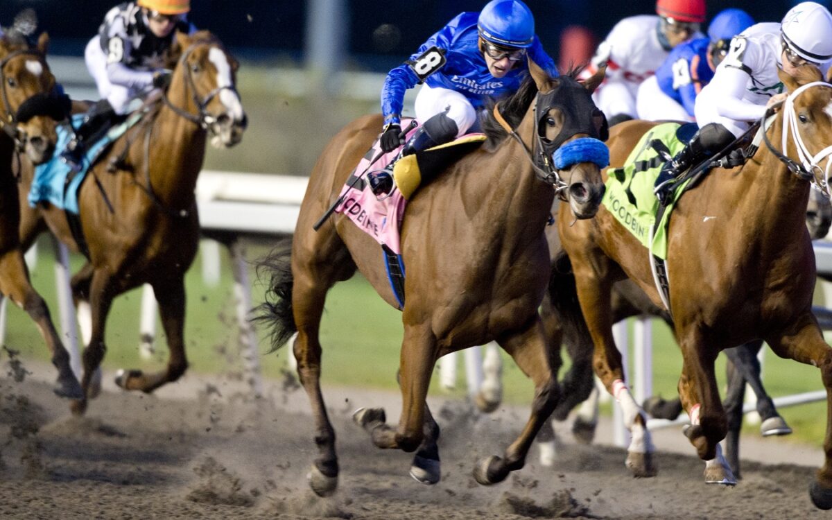 Pondering - Bessarabian Stakes G3 - Michael Burns