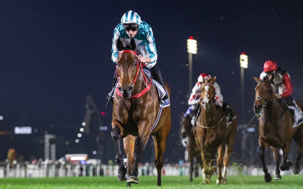 Romantic Warrior - Alex Evers - Hong Kong Jockey Club