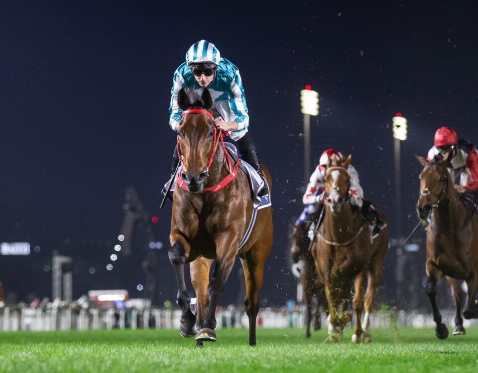 Romantic Warrior - Alex Evers - Hong Kong Jockey Club