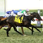 Salamis - Hollywood Derby G1 $300,000 Del Mar - Benoit Photo