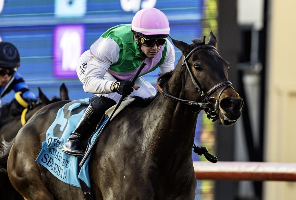 Segesta - Matriarch Stakes G1 $300,000 - Del Mar Thoroughbred Club - Benoit Photo