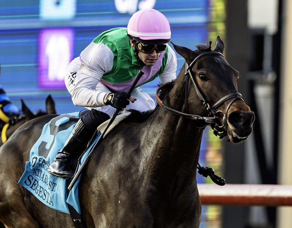 Segesta - Matriarch Stakes G1 $300,000 - Del Mar Thoroughbred Club - Benoit Photo