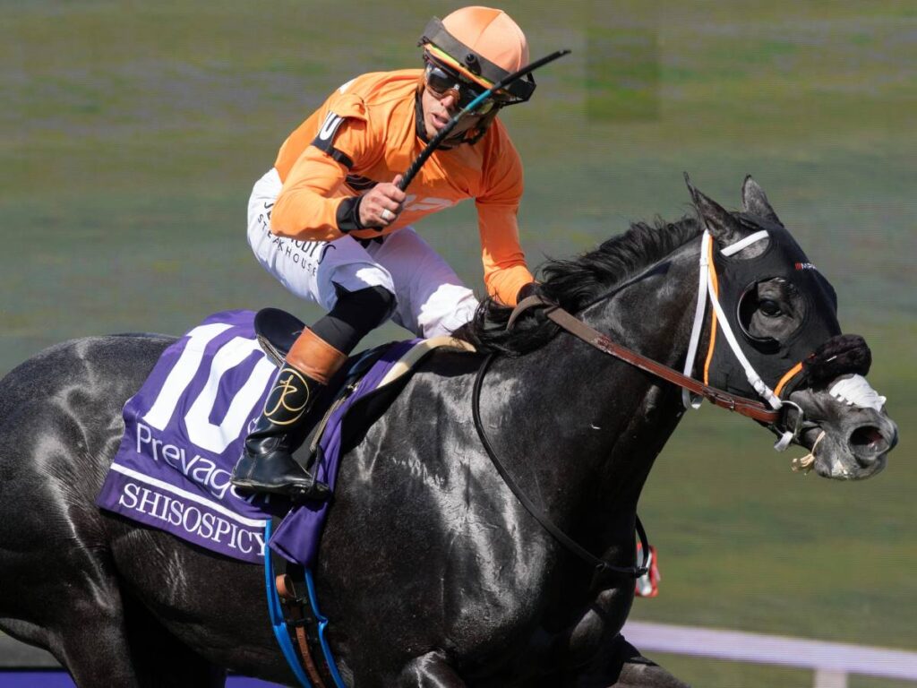 Shisospicy - BC Turf Sprint - Barbara D. Livingston - Daily Racing Form